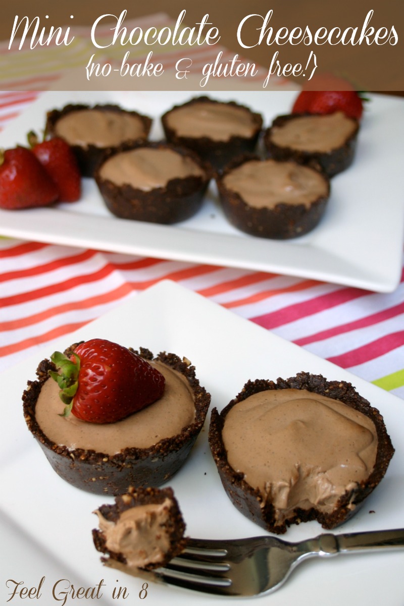 Mini Chocolate Cheesecakes w/Dark Chocolate-Almond Crust {no-bake, gluten free, & refined sugar free!} You can't even taste all the healthy ingredients in this easy and delicious dessert!! | Feel Great in 8 - Healthy Real Food Recipes