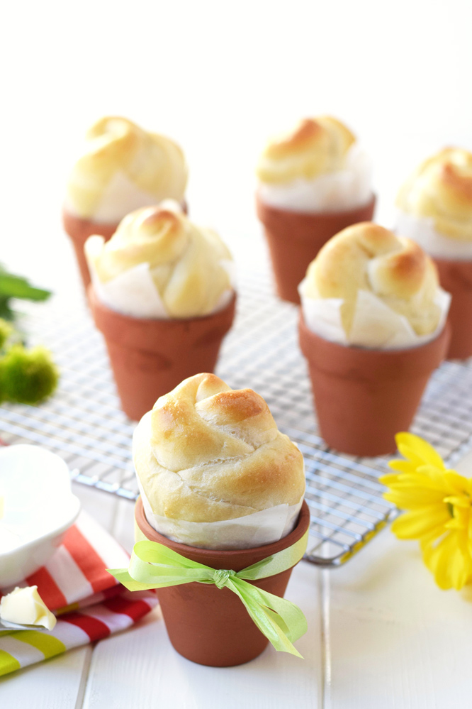 Flower Pot Rolls - Did you know that you can bake rolls right in little terra cotta flower pots? This fun how to recipe is perfect for spring!